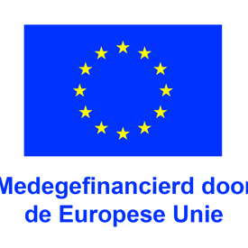NL V Medegefinancierd Door De Europese Unie POS